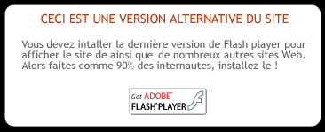 Installer le flash player (site officiel)